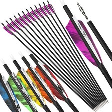 Bogenschießen Carbonpfeile 28