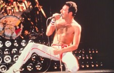 Queen Freddie Mercury