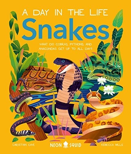 Snakes - ,