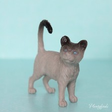 Graue Katze Miniatur Tier