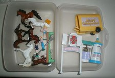 GRAND CHAMPIONS MINI