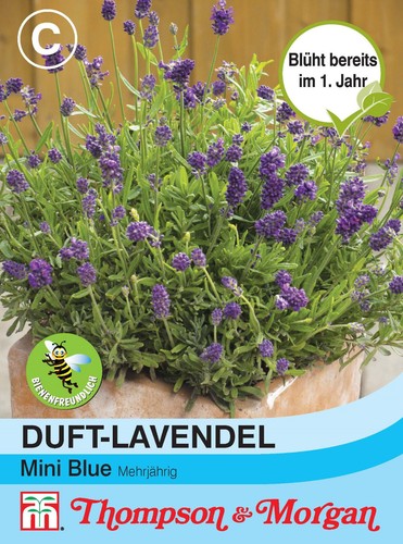 Duft lavendel mini blue - duft-lavendel,