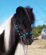 Miniaturpferd show Halfter