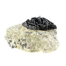 Steine und Mineralien