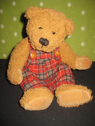 Teddybär mit latzhose - teddybär,