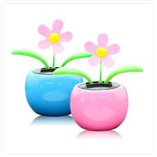 Solar Wackelfigur Blume Auto Haus Büro Deko 2 Stück