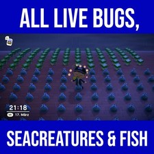 Animal Crossing: New Horizons