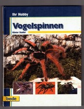Vogelspinnen ihr hobby - vogelspinnen,