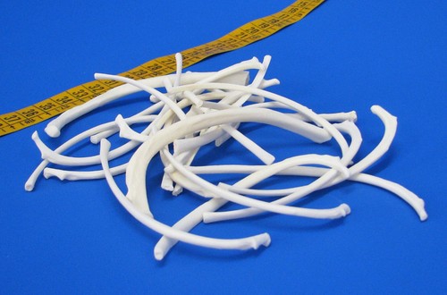 25er pack rippenknochen - pack,