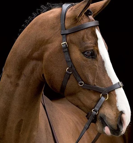 Horseware trensenzaum micklem - horseware,