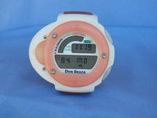 Bism Professional Computer