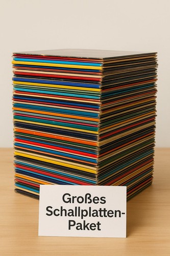 Großes schallplatten paket - schallplatten-paket, 