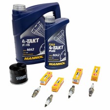 Öl 5L Inspektion Paket für