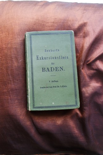 Exkursionsflora für das