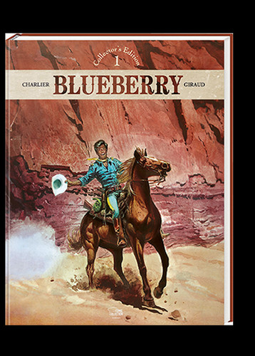 Blueberry collector s - blueberry,