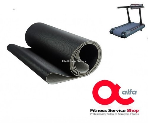 Life fitness 9500 old - ,