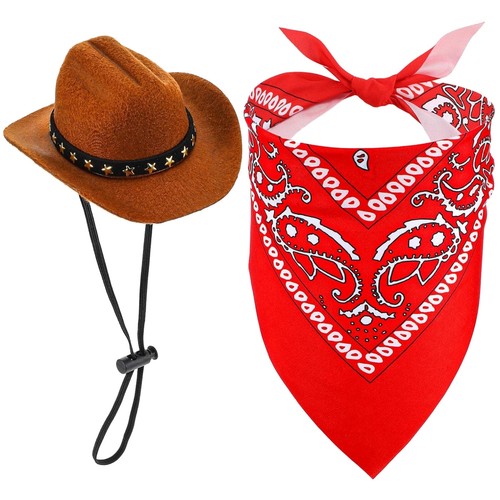 Hund katze cowboyhut halstuch - hund,