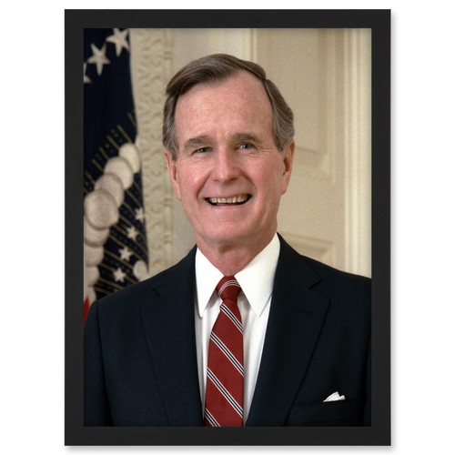 President george w - president, bush