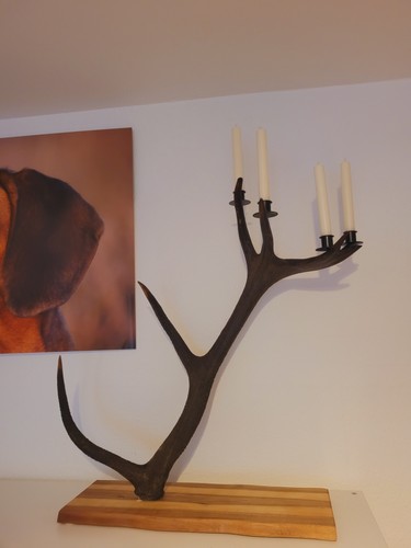 Adventsständer kerzenständer - adventsständer,