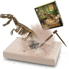 Dinosaurier Ausgrabungsset