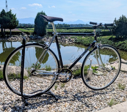Pinarello catena single speed - catena,