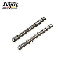 Hajus 2x Nockenwelle Einlass
