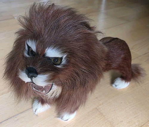 Echtfell taxidermie löwe top - taxidermie,