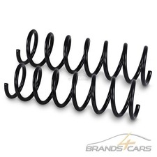 ATEC 2x FAHRWERKSFEDER FEDER