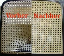 GEFLECHT_ERNEUERUNG_STAHLROHR _BAUHAUS_FREISCHWINGER