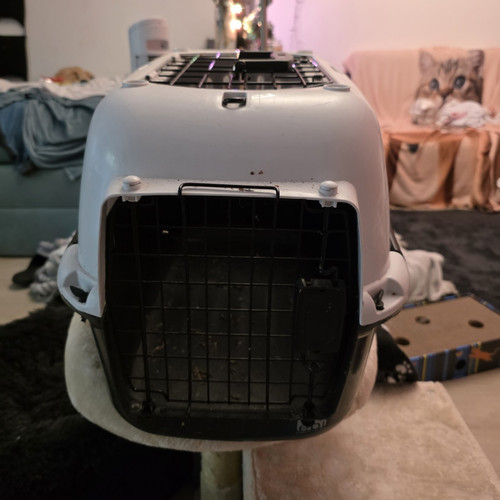 Katzen transportbox aus - katzen,