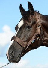 % Bucas COMFORT Halfter extra