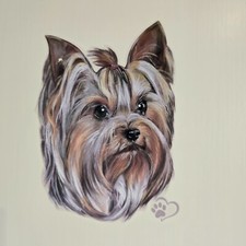 Yorkshire Terrier  Aufkleber