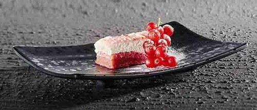 Speisenplatte sushiplatte - speisenplatte,