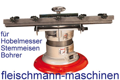 HOLZMANN