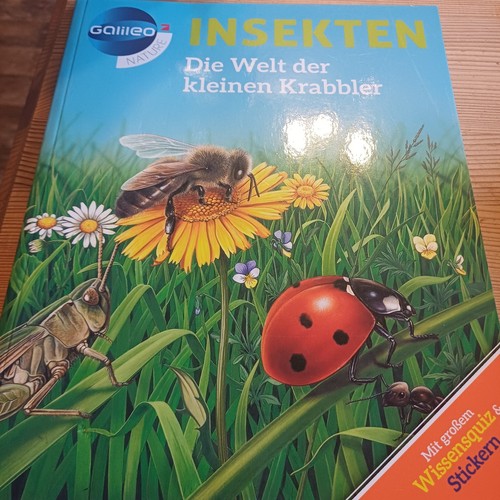 Galileo wissen insekten - wissen:, die