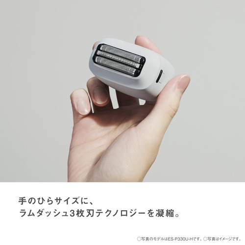 Panasonic lamdash palm - in, lite