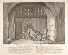Ridinger Die Löwin träget ihre Jungen 1750 Original Antique print Leo Lion Löwe