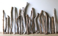 Treibholz Schwemmholz