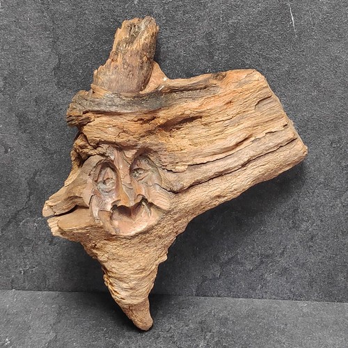 Wurzelsepp waldschrat baum - waldschrat,