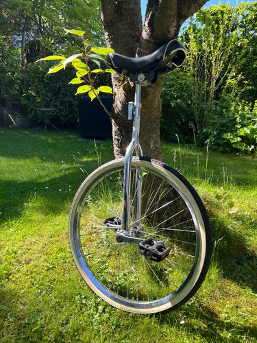 Einrad zoll farbe - 24,