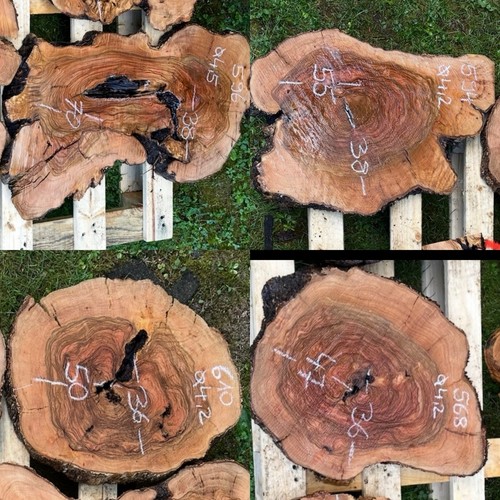 Olivenholz baumscheibe holz - baumscheibe,