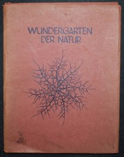 Karl Blossfeldt. Wundergarten