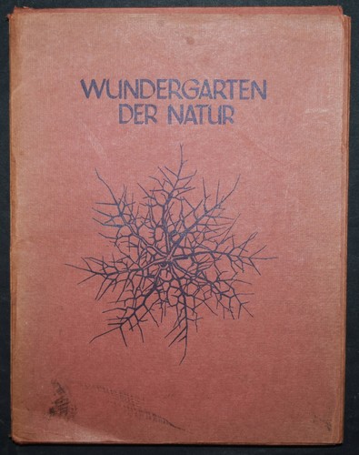 Karl blossfeldt wundergarten - blossfeldt.,