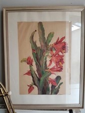 Aquarell Antik Blühender Kaktus A.Hornrich