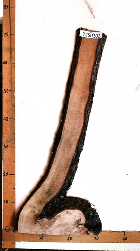Bretter sonderposten holz - bretter,
