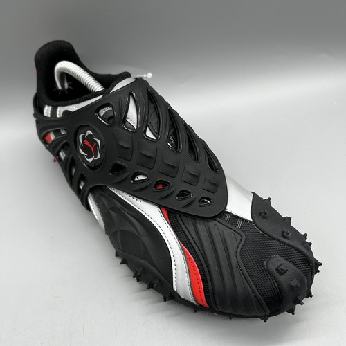 Puma rocky mostro gabbia - rocky,