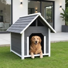 Hundehütte Hundehaus