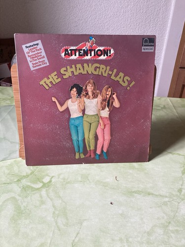 Shangri las attention - -,