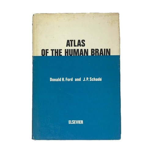 Atlas the human brain - human,