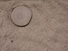 Räucherspäne Esche 500 ml